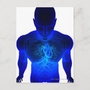 Postal Vista desde arriba de la disposición de los vasos