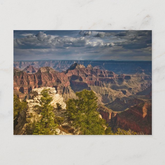 Postal Vista desde el Centro de Visitantes del North Rim  (Anverso)