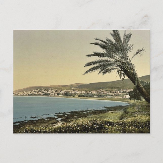 Postal Vista desde el monte Carmel, Chaifa, (es decir, (Anverso)