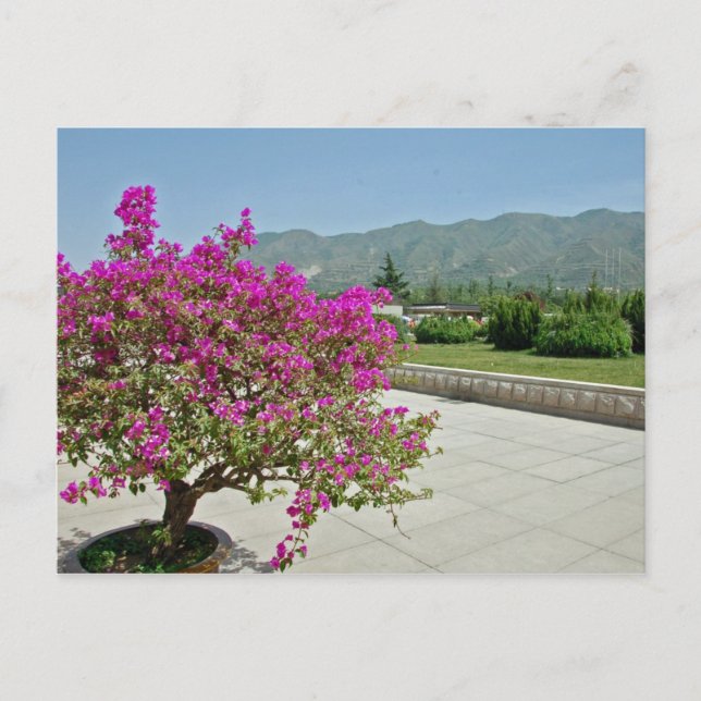 Postal Vista desde Museo, Xian, China (Anverso)