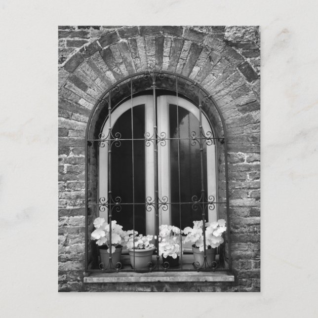 Postal Vista en blanco y negro de las macetas de flores y (Anverso)