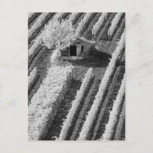 Postal Vista en blanco y negro de un pequeño granero de p