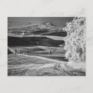 Postal Vista en blanco y negro de una carretera sinuosa