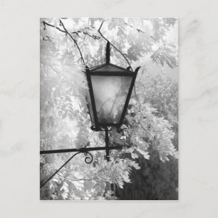 Postal Vista en blanco y negro de una luminaria