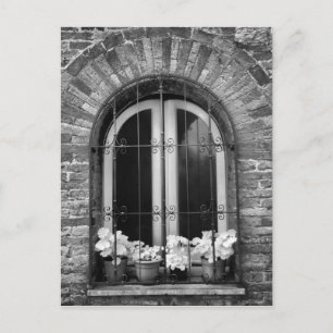 Postal Vista en blanco y negro de ventana y macetas