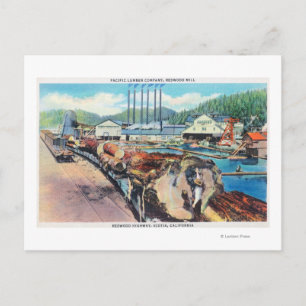 Postal Vista exterior de Pacific Lumber Co, secuoya