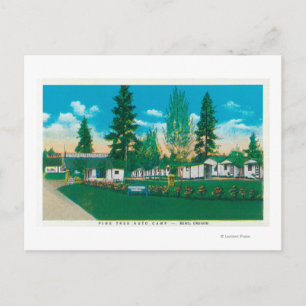 Postal Vista exterior del Campo Automático Pine Tree