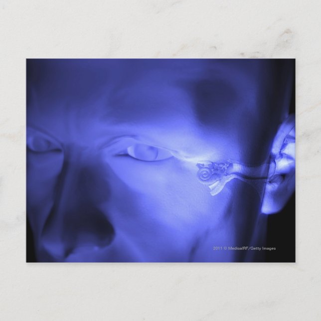 Postal Vista frontal del oído interior (Anverso)