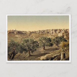 Postal Vista general del pozo de David, Belén, Santo