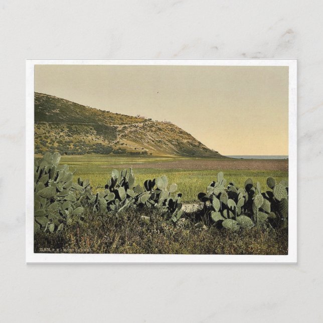 Postal Vista general, Monte Carmel, Tierra Santa, (es dec (Anverso)