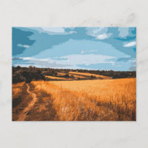 Vista gráfica de campo de verano en carretera rura