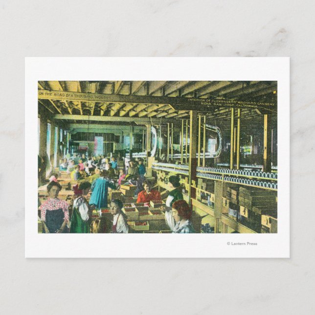 Postal Vista interior de la Cannería de jardinería del pa (Anverso)