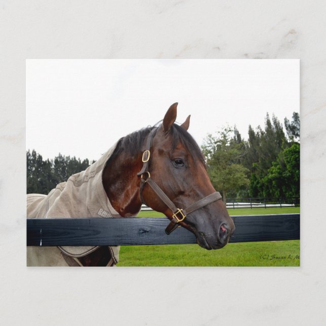 Postal vista lateral de la valla (Anverso)