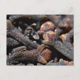 Postal Vista macro detallada de la hierba clavo