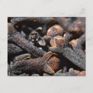 Postal Vista macro detallada de la hierba clavo