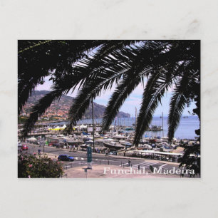 Postal Vista Marina @ Funchal Postcard