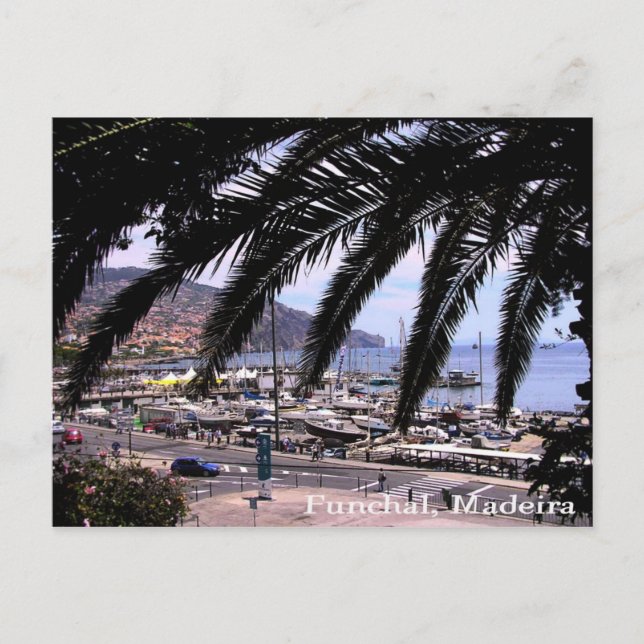 Postal Vista Marina @ Funchal Postcard (Anverso)