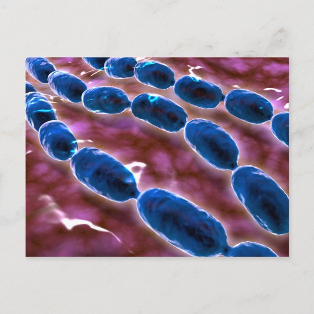 Postal Vista Microscópica De La Neumonía Bacteriana 1 (Anverso)
