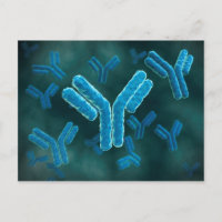 Vista Microscópica De Las Moléculas De Inmunoglobu