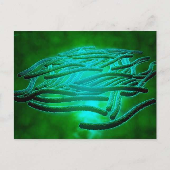 Postal Vista Microscópica De Legionella Pneumophila 1 (Anverso)