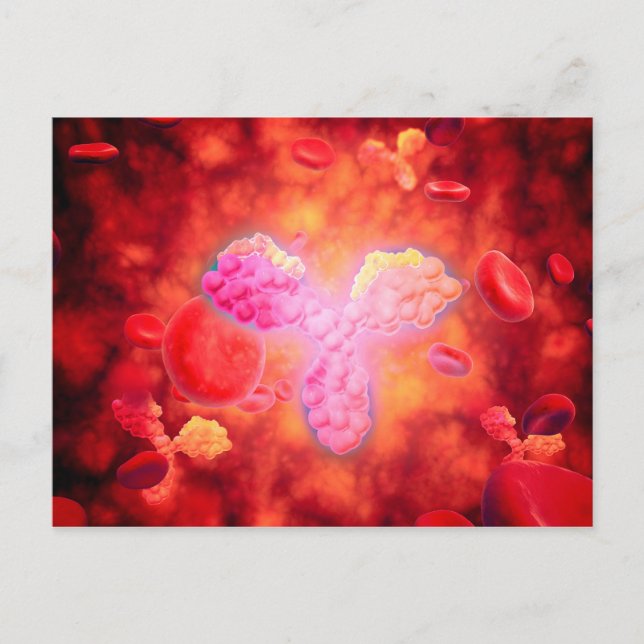 Postal Vista Microscópica De Los Anticuerpos Humanos (Anverso)