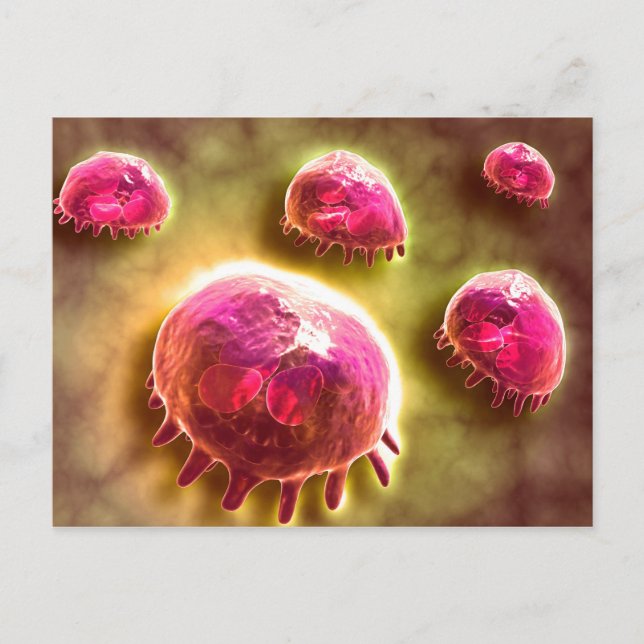 Postal Vista Microscópica De Macrófagos Fhagociticos 2 (Anverso)