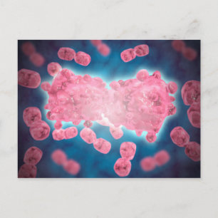 Postal Vista Microscópica De Un Grupo De Células De Leuce