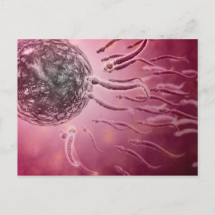 Postal Vista Microscópica Del Baño De Esperma Hacia El Hu
