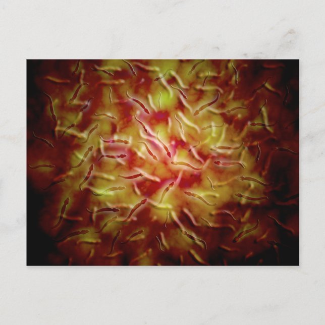 Postal Vista Microscópica Del Esperma (Anverso)