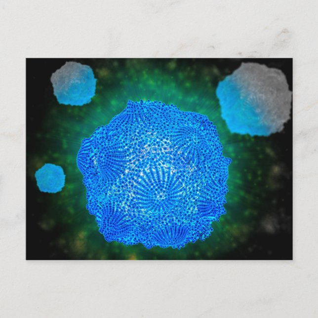 Postal Vista Microscópica Del Parvovirus Canino 3 (Anverso)