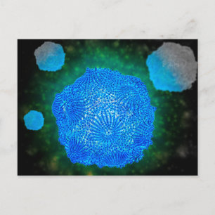 Postal Vista Microscópica Del Parvovirus Canino 3