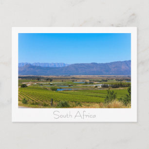 Postal Vista natural de viñedos Sudáfrica Postcard