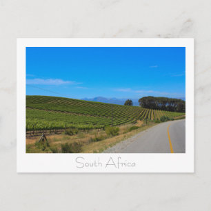 Postal Vista natural de viñedos Sudáfrica Postcard