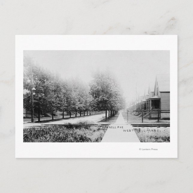 Postal Vista occidental de la avenida Parnell (Anverso)