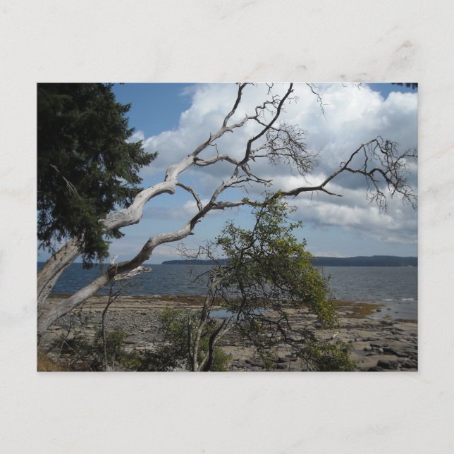 Postal Vista oceánica (Anverso)