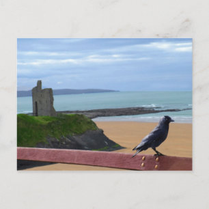 postal vista pájaro