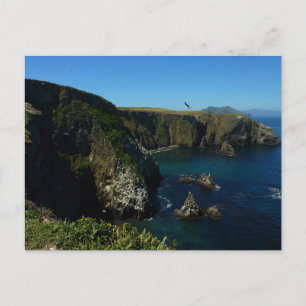 Postal Vista panorámica de la isla Anacapa en las Islas d