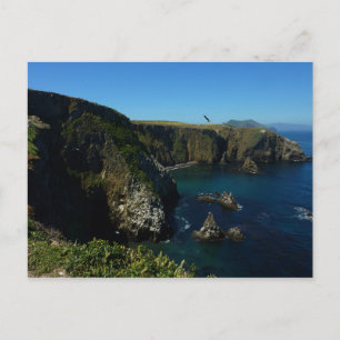 Postal Vista panorámica de la isla Anacapa en las Islas d