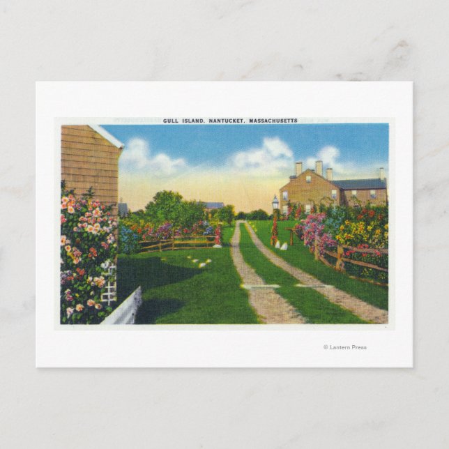 Postal Vista panorámica de la isla de Gull (Anverso)