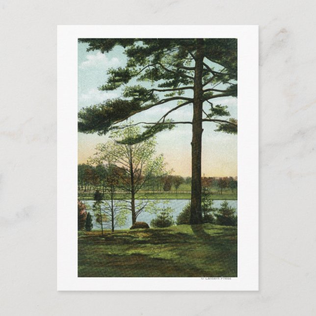 Postal Vista panorámica en el embalse de Chestnut Hill (Anverso)