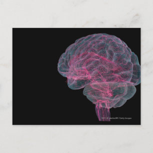 Postal Vista posterior del cerebro humano