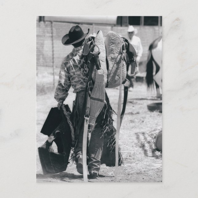 Postal Vista posterior del vaquero que acarrea el (Anverso)