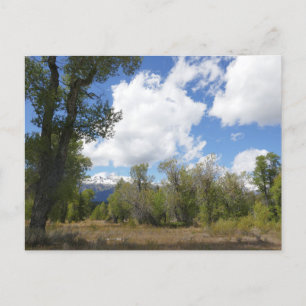 Postal Vista soleada del monte Grand Teton
