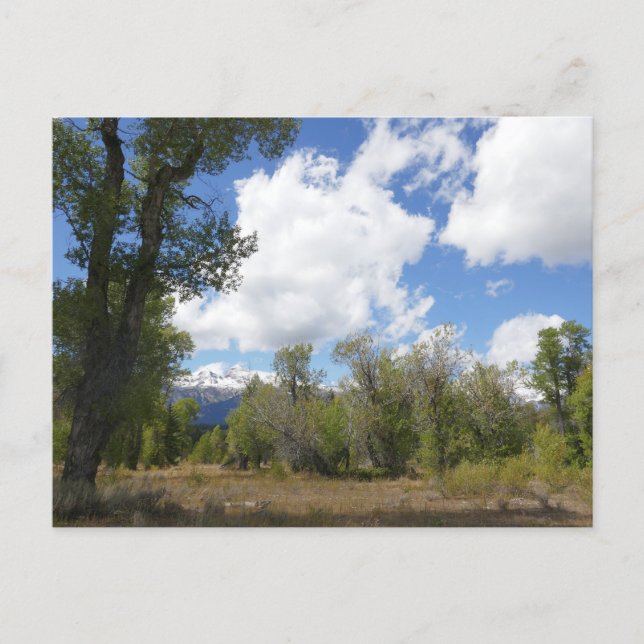 Postal Vista soleada del monte Grand Teton (Anverso)