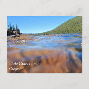 Postal Vista submarina en el Lago Little Cultus, OR