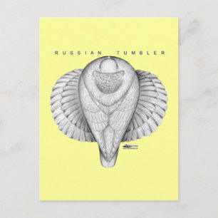Postal Vista superior de Tumbler ruso
