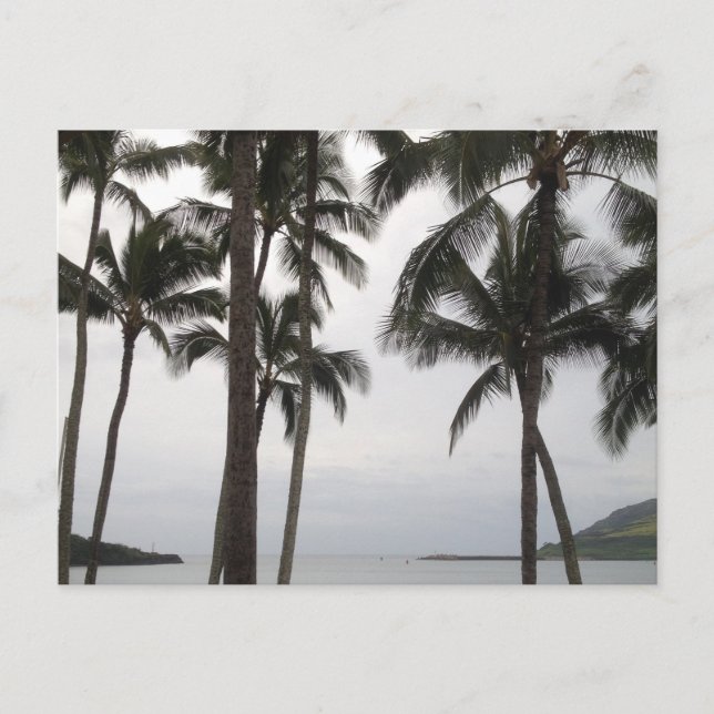Postal Vista tropical en Kauai (Anverso)
