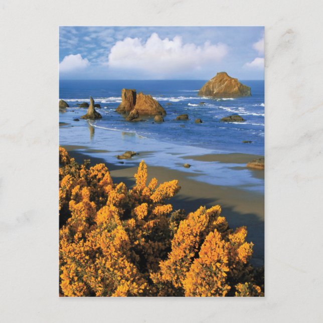 Postal Vistas A La Playa De Oregón En Bandon (Anverso)