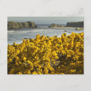 Postal Vistas costeras, Bandon, Oregón