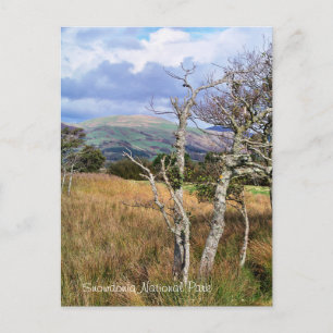 POSTAL VISTAS DE GALES